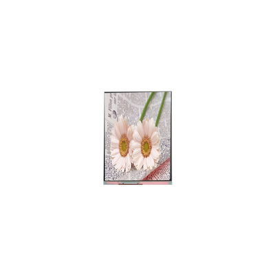 Harga yang bagus C084GNS1-1 800 * 600 8,4 inci TFT LCD Tampilan untuk Industri on line