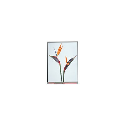 Harga yang bagus 9.0 inci C090NWP1 R0 800*480 TFT LCD Display Panel on line