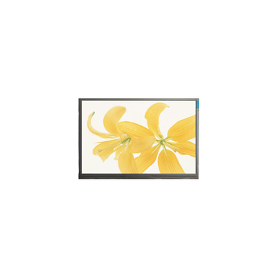 Harga yang bagus 10.4 inci LPM104GNX1 R1 TFT LVDS 262K LCD Panel Monitor on line