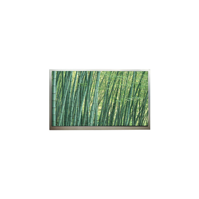 Harga yang bagus 1024*768 10,4 inci M104GNX2 R1 LCD Panel layar on line