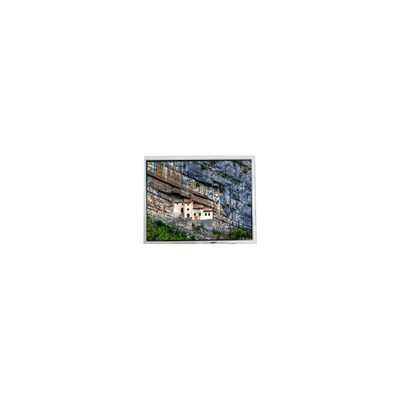 Harga yang bagus 320*234 FG060400ANCWA-01 Panel LCD 6,4 inci untuk digital photo frame on line