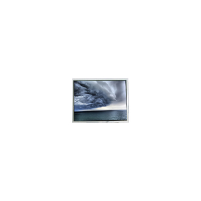 Harga yang bagus FG060530DSSWJG01 6,5 inci LCD Screen Display Untuk Otomotif on line