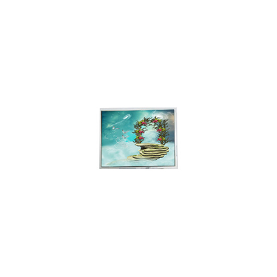 Harga yang bagus TFT1N5918 6.9 inci 800*480 LVDS layar LCD Monitor on line