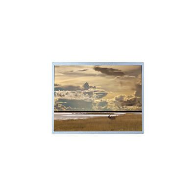Harga yang bagus asli 43 inci P430HVN05.1 1500 cd/m2 Lcd Screen Lcd Panel on line