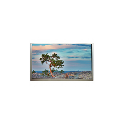 Harga yang bagus SN245CT01-1 24,5 inci 1920*1080 3500:1 Layar LCD on line