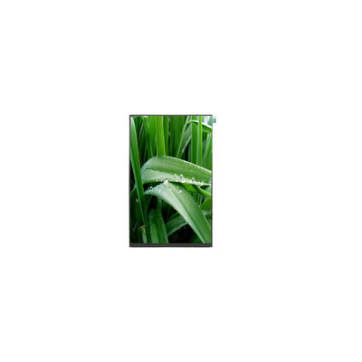 Harga yang bagus P101DEA-AZ1 10,1 inci 800*1280 500 cd/m2 LCD Panel Screen on line