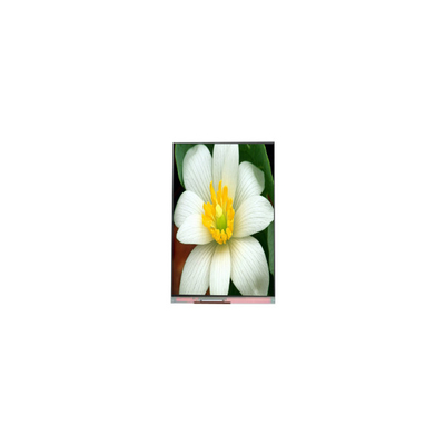 Harga yang bagus PJ052IC-01C 5,2 inci 1080 * 1920 layar LCD Panel tampilan on line