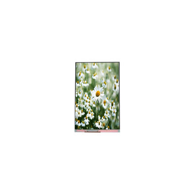 Harga yang bagus 1080*1920 5,5 inci PP055IA-03N LCD display Modul Panel on line