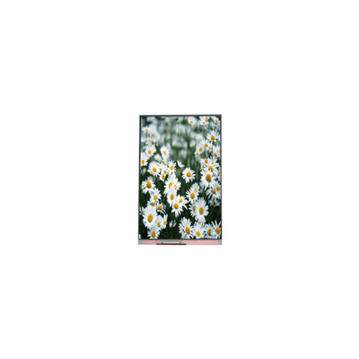 Harga yang bagus Original 1440*2560 PP055IA-09A 5,5 inci LCD display Layar on line