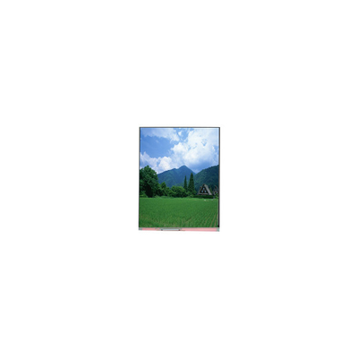 Harga yang bagus PP057IC-01A 5,7 inci 1080*1920 LCD Screen LCD Panel on line