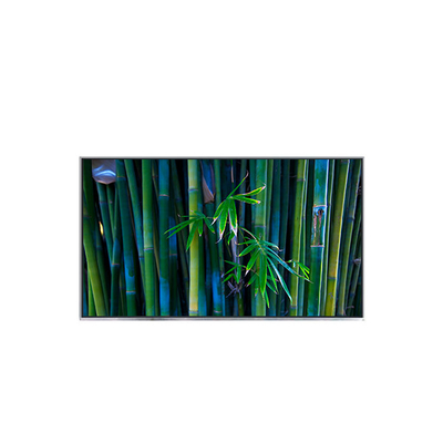 Harga yang bagus B116XAT01.0 11.6 inci 1366*768 tft LCD display module on line