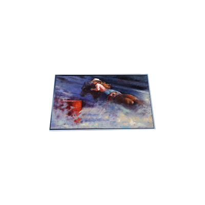 Harga yang bagus P286IVN01.1 28,6 inci 1920*540 LCD Screen Module on line