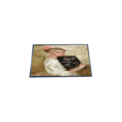 Harga yang bagus P290IAN01.0 28,6 inci 1920*540 LCD Screen Display Panel on line