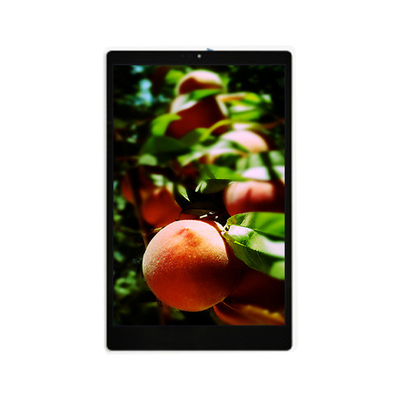 Harga yang bagus Baru 800*1280 TV101WXU-N91 10,1 inci LCD Display Panel on line
