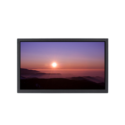 Harga yang bagus QV095Z9Q-N00 9,5 inci 480*1920 LCD Panel LCD Display Screen on line