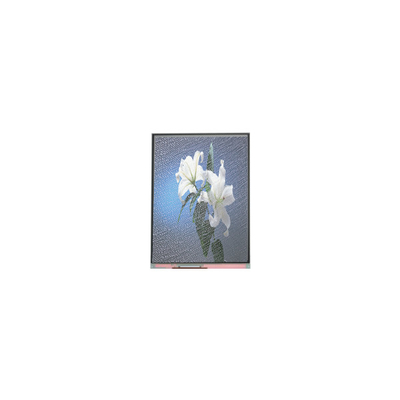 Harga yang bagus C090SWP1-2 9,0 inci 800*480 LCD Screen untuk Automotive Display on line