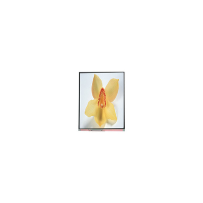 Harga yang bagus C050SWAN-0 5,0 inci 720*1280 LCD layar panel on line