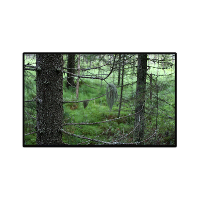 Harga yang bagus TV101WUB-NW1-D9P0 10,1 inci 1200*1920 LCD Panel Display on line