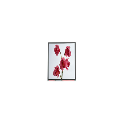 Harga yang bagus 480*960 C060SWY7-0 6.0 inci Tft LCD Screen on line