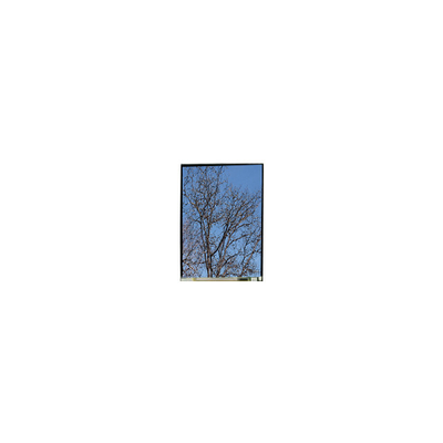 Harga yang bagus 5.5 inci LS055T1SX29 1080*1920 FHD LCD display Panel on line