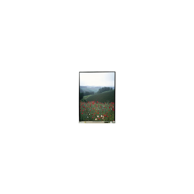 Harga yang bagus 5.5 inci LS055B1SX01B LCD Panel dengan sentuhan untuk ponsel on line