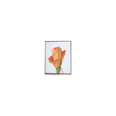 Harga yang bagus 720*1280 C052SWA2-1 5,2 inci LCD Panel Display untuk Telepon on line