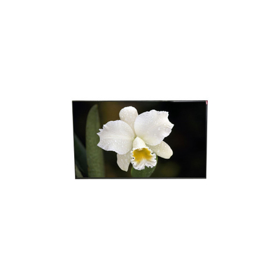 Harga yang bagus Original LP125WF4-SPQ1 12,5 inci TFT LCD Screen on line