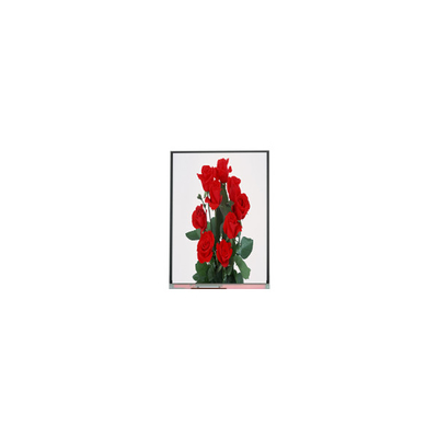 Harga yang bagus NEW 6.2 inci C062SWP1-1 800*480 LCD Display on line