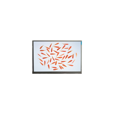 Harga yang bagus C116NWR4-0 11,6 inci 1366*768 IPS LCD Screen Display on line