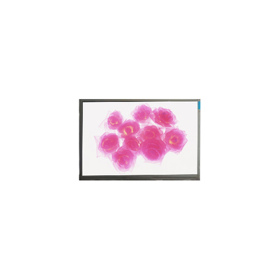 Harga yang bagus F116NWR4-0 11,6 inci 1366*768 panel layar LCD on line