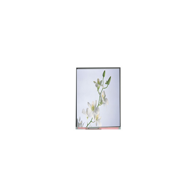 Harga yang bagus C060SWZ1-0 NEW 6.0 inci 540*960 LCD Screen Display on line