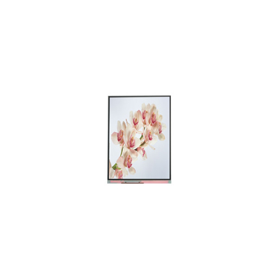 Harga yang bagus C060SWA4-0 NEW 6.0 inci IPS LCD Screen Display on line