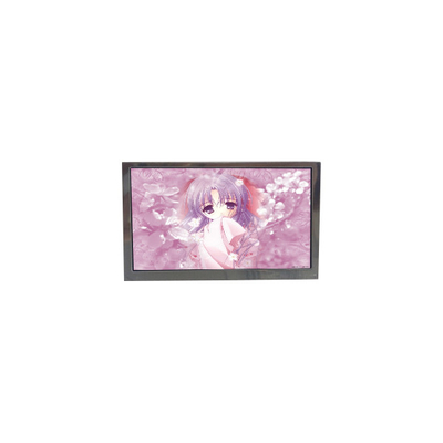 Harga yang bagus TFTMD053056 5,3 inci 60Hz LCD Screen Panel on line