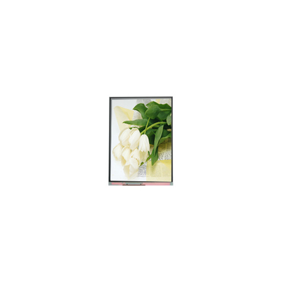Harga yang bagus 5.5 inci C055SWY2 R0 LCD Screen Panel on line