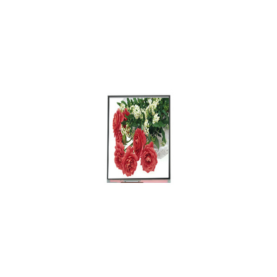 Harga yang bagus 5.5 inci C055SWY2-1 LCD Display Screen untuk Ponsel on line