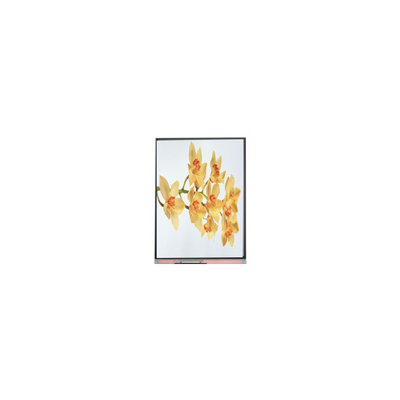 Harga yang bagus C060SWY2-1 6.0 inci 480*854 TFT LCD Screen Display Panel on line