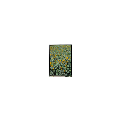 Harga yang bagus 720*1280 LS053K3SX01 5,3 inci tft lcd display LCD Screen untuk Ponsel on line