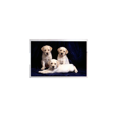 Harga yang bagus Original TM190MFS02 19.0 inci 1440*900 Lcd layar on line