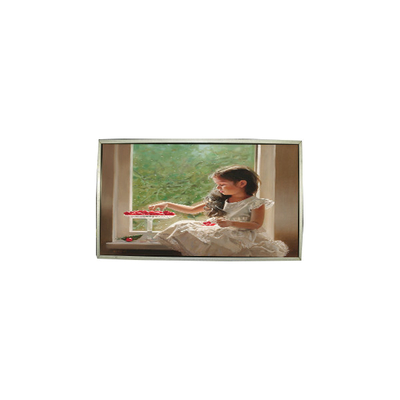 Harga yang bagus 23.0 inci LTM230HT05-V 30 Pin 1920*1080 LCD Screen Panel on line