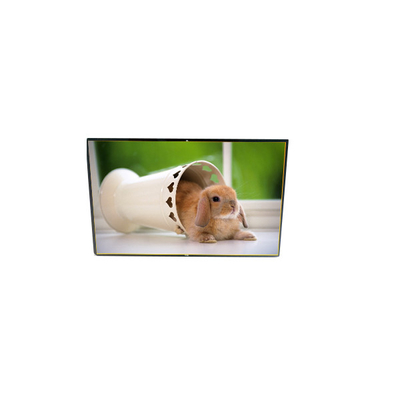 Harga yang bagus LP116WSA-TLA1 1024*600 11,6 inci LCD Screen Module baru on line