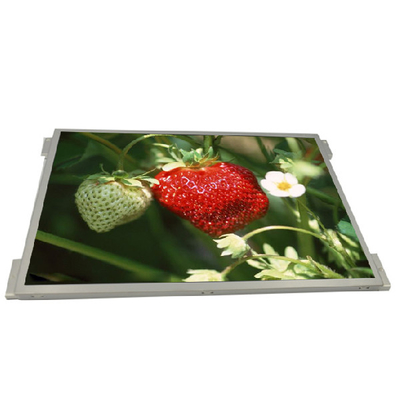 Harga yang bagus G104XVN01.0 1024x768 IPS Layar LCD Industri 10.4 Inci on line