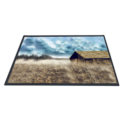 Harga yang bagus AUO 10.1 inci B101XAN01.2 1366x768 Layar Panel LCD TFT on line