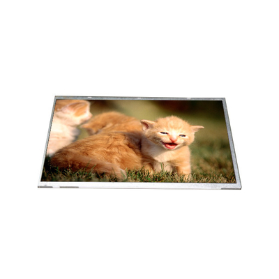 Harga yang bagus B116AW02 V0 Panel Tampilan Layar LCD Laptop 11,6 inci on line